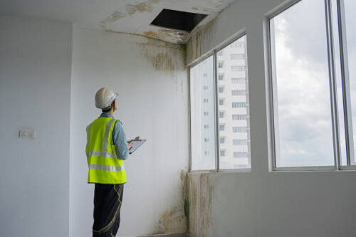 Property Inspection Service near me Property Inspection Service near me