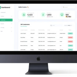 CRM-Software-Development