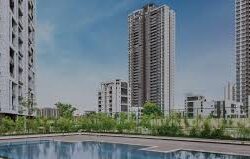 Property in Sector 72 Gurgaon