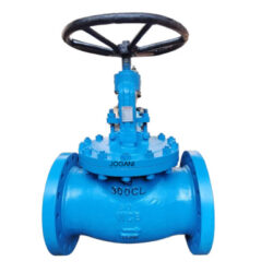 Check Valve